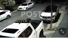 Captan a oso de gran tamaño buscando comida en colonia del sur de Monterrey