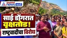 Karjat Torrent | साई डोंगरातील वृक्षतोडीला राष्ट्रवादीचा विरोध