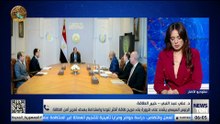 أمن الطاقة يبدأ من تنويع المصادر.. د. علي عبد النبي يحلل رؤية الرئيس لبناء مزيج طاقة أكثر استدامة