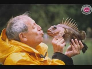 images d'animaux drole