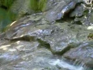 Cascade sur sentier des pecheurs (Verdon)