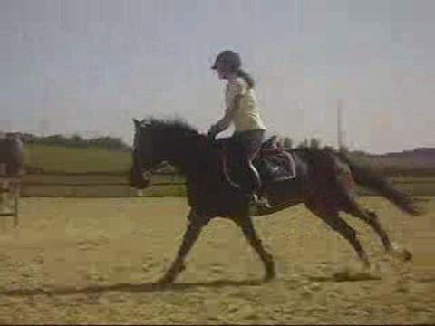 Entrainement CSO Galop III Alice