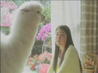 Riko Narumi Kuralay rama cf