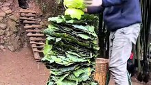 Des poules dévorent un énorme kebab végétarien en Chine
