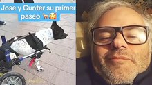 ¡La - fuerza de voluntad de este perrito no tiene límites! 🐶❤️