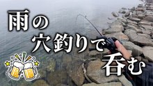 雨の漁港石積み穴釣りでカサゴを狙う　餌を落とすと竿先に反応、釣った一匹で最高の一杯