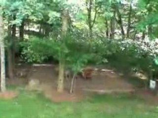 Merrimack, New Hampshire (NH) real estate for sale