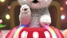 Fluffy Puppy's Calming Peach Jelly Bounce ASMR 🍮