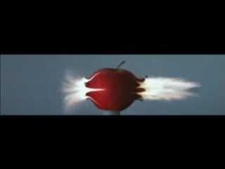 Slowmotion | Balle tirée dans des objets