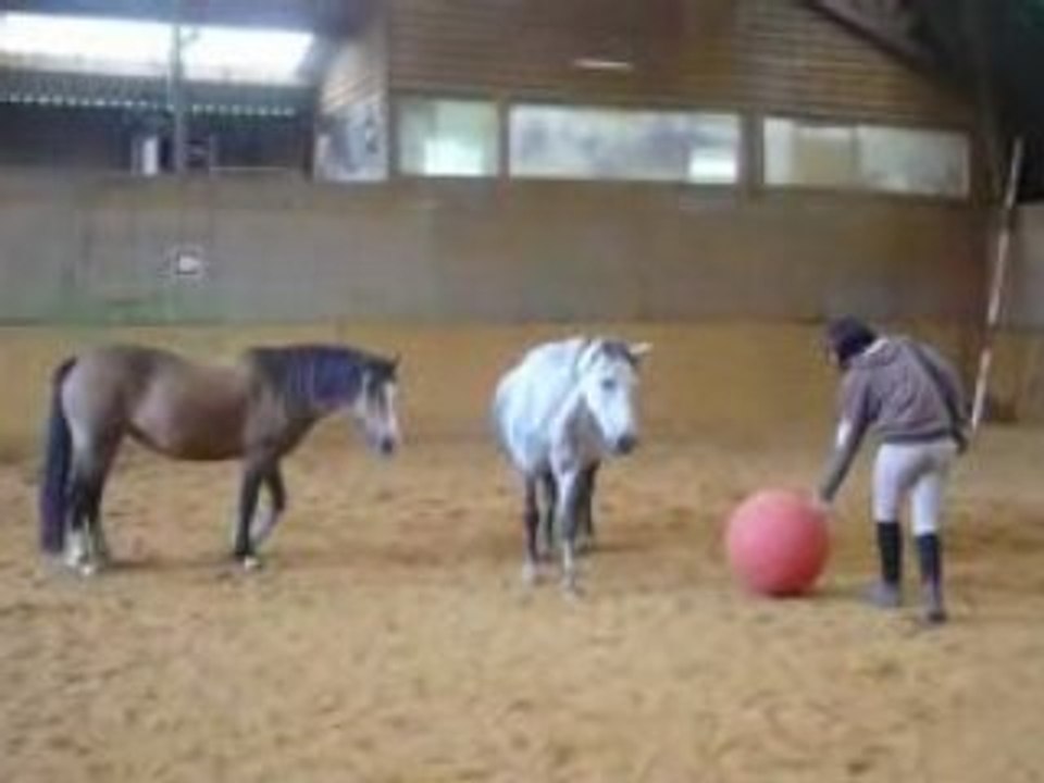 Mumu & le ballon