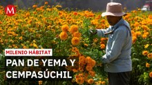 Día de Muertos impulsa turismo rural en la región de los volcanes en Edomex | Milenio Hábitat