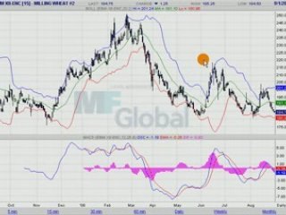 BLE MEUNIER 01.09.08