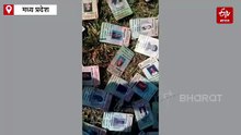 नर्मदा नदी में लावारिस मिले 343 वोटर आईडी कार्ड किसके? इंदौर के राऊ से निकला कनेक्शन