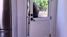 #sneakylink #reels #fyp #viral #funny