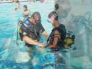 2eme montage homme grenouille wmv