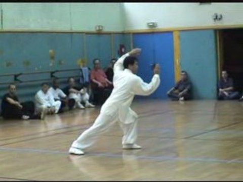 Association Wan Laisheng France / Demo Maitre LIANG Chao Qun