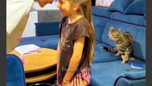 This funny cat gone viral