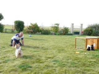 Dalys et ses frères