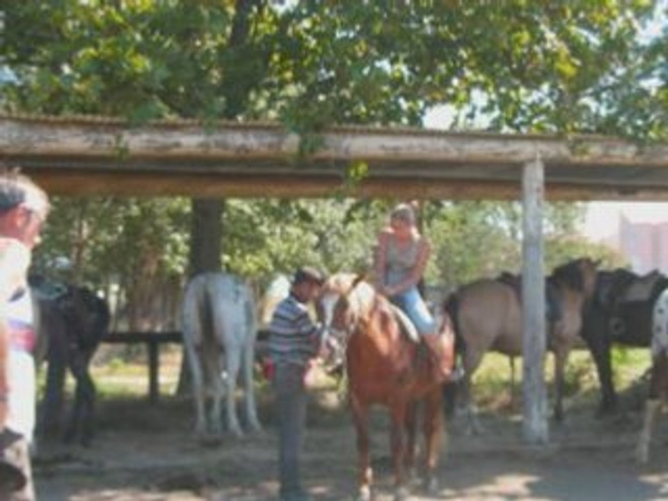 mes vacance 2008 a argelés plage