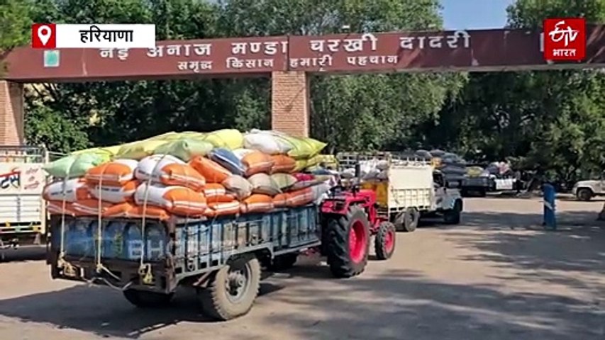 दादरी अनाज मंडी में बाजरा खरीद का बड़ा खेल! रिकॉर्ड में 1.85 लाख क्विंटल, मौके से 68 हजार क्विंटल गायब, सचिव समेत 5 कर्मचारी सस्पेंड