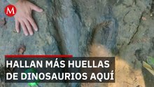 Hallan 50 huellas de dinosaurios carnívoros y herbívoros en Michoacán