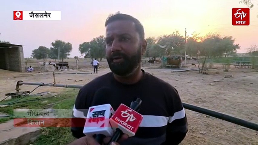 जैसलमेर में सूखे की मार के बीच राहत की खबर, 61 स्थानों पर खुलेंगे चारा डिपो