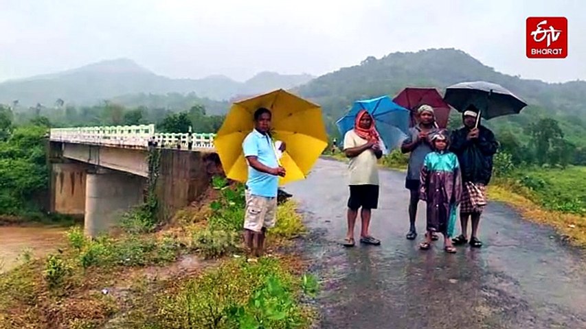 Cyclone Arnab: Heavy Rain, Fallen Trees Disrupt Communication In Gajapati; Heavy Rain Continues In South Odisha