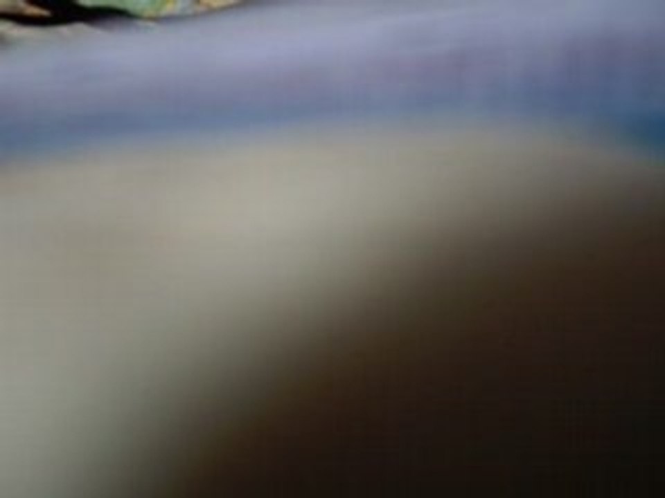 "jeune et con" - damien saez