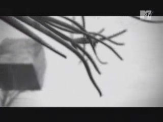 Dir en grey - Glass Skin PV