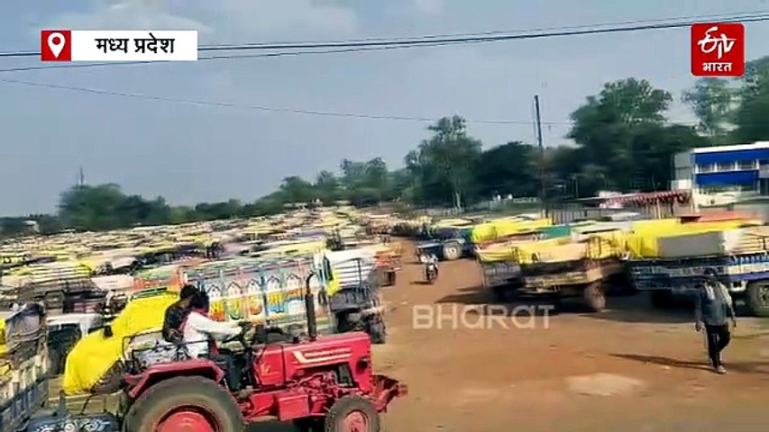 गुना मंडी में टूटा 5 साल पुराना रिकॉर्ड, बंपर आवक देख खुली रह गईं अधिकारियों की आंखें