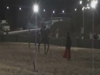 ODEMIRA A BELEZA DOS CAVALOS