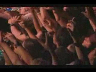Scorpions - the zoo
