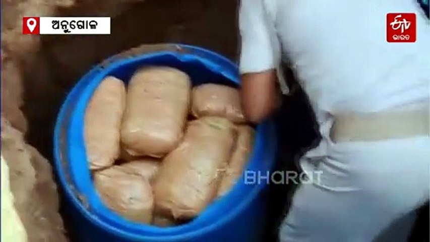 ମାଟି ତଳେ ପୋତା ହୋଇଥିଲା ପୁଳା ପୁଳା ଗଞ୍ଜେଇ,  ଜବତ୍ କଲା ଅବକାରୀ ବିଭାଗ