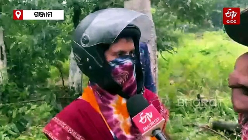 ପାତ୍ରପୁରରେ ମହାଦ୍ରୁମ ଉପାଡ଼ି ଦେଲା ବାତ୍ୟା ଅର୍ଣ୍ଣବ, ରାସ୍ତାରେ ଗଛ ପଡ଼ି ଯାତାୟତ ବାଧାପ୍ରାପ୍ତ
