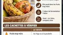 Ces moucherons autour de ta corbeille de fruits ? Ils sont nés dans une banane