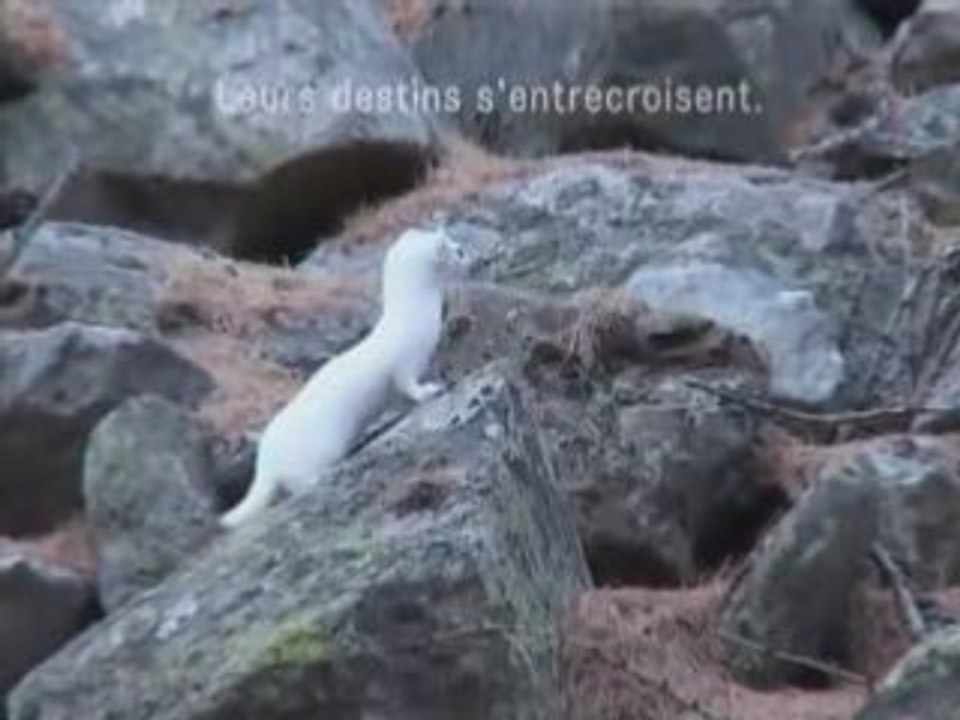 300 jours dans la Montagne