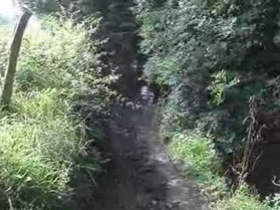 rando 31août 2008