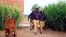 CID Police _ Ramzi,Noori, Bilo,Shoki, Sanam,Jannat,Falak Sher,Funny Video  Rachnavi Tv