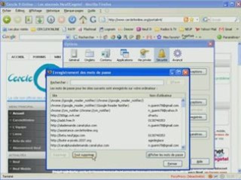 Mozilla_firefox3.0.1_reinitialiser