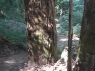 VTT Lamas 2008 2ème