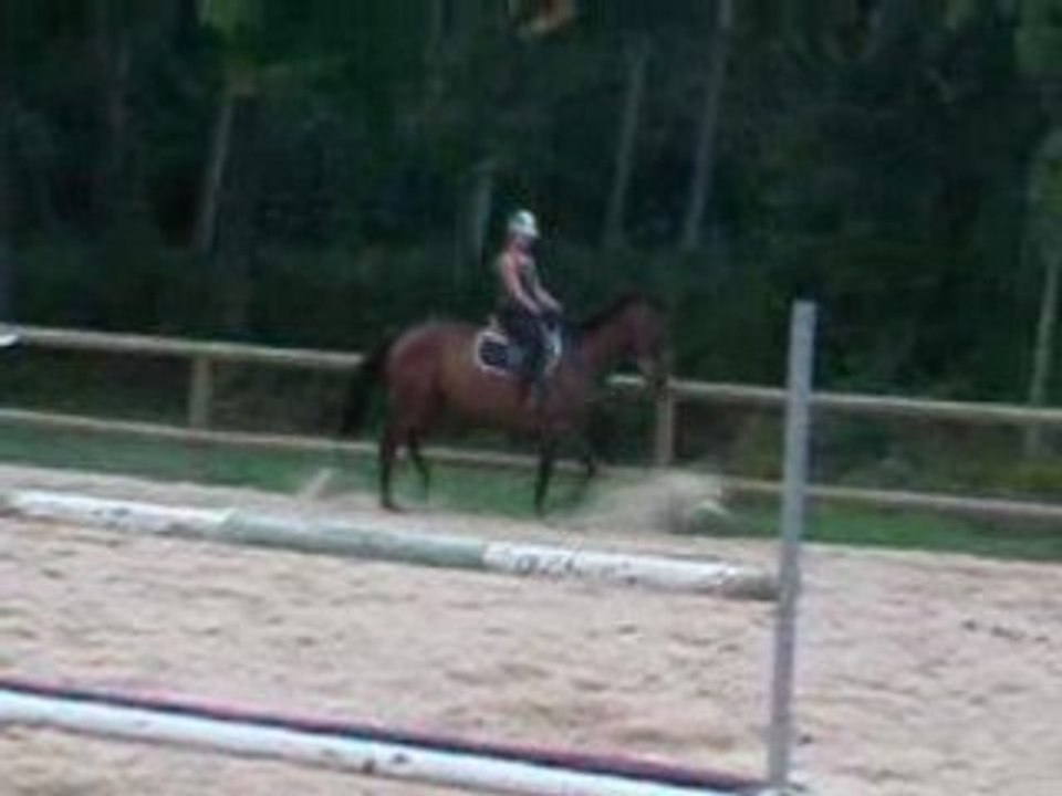 Ma Tiite Jument &&' Moi. (11)