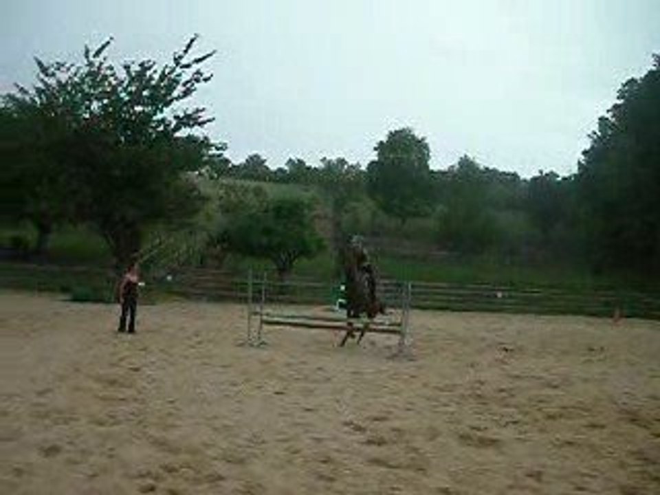 Ma Tiite Jument &&' Moi. Saut (6)