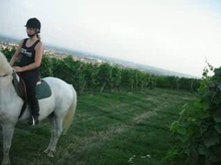 Sandy et moi