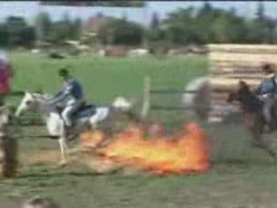 Fête du cheval 2008 (1)