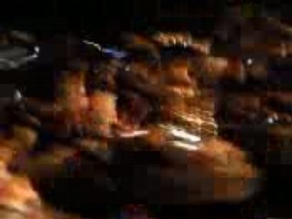 Palais Closing Party 2008