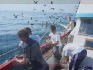 La gaule chauchéenne en mer