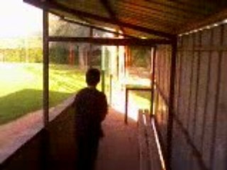 Vidéo-0005