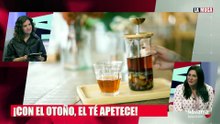 Elige la mejor infusión y tómate un respiro