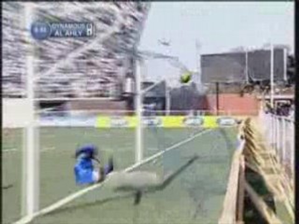 dinamoz_ahly0-1