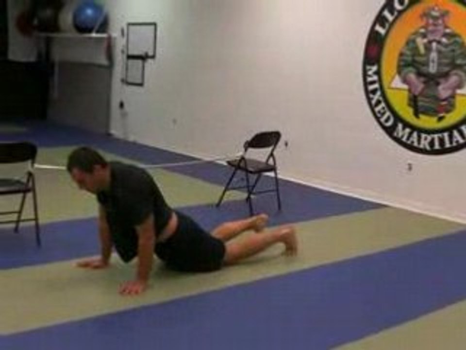 TL BJJ  Jiu Jitsu Martial Arts Naples , FL C1 Andre Part 2